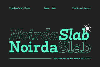 Noirda Slab Serif Font
