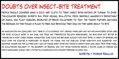 NorB Felt Marker Font