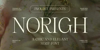 Norigh Font