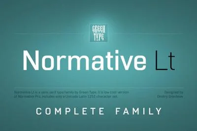 Normative Lt – 12 fonts