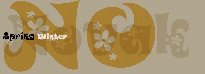 Novak Font