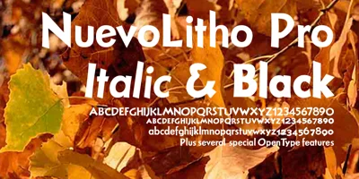 Nuevo Litho Font