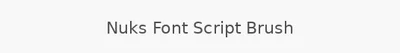 Nuks Font Script Brush