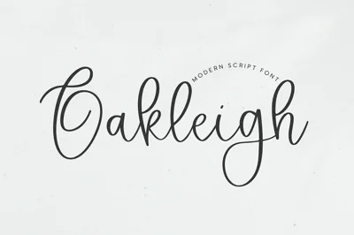 Oakleigh | Modern Script Font