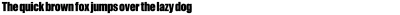 OL Newsbytes Font
