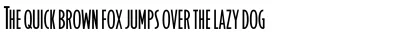 OL Raleigh Gothic B Display Font