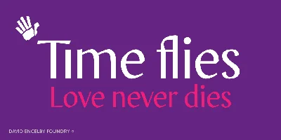 OnO Display Pro Font