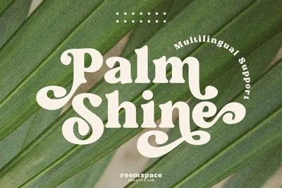Palm Shine - Bold Swirl Serif Font