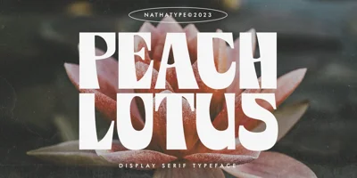 Peach Lotus Font
