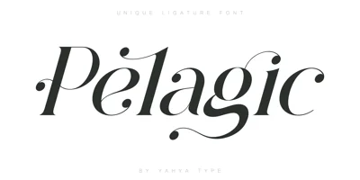 Pelagic Bird Font