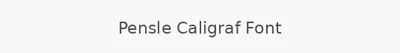 Pensle Caligraf Font