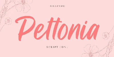 Pettonia Font