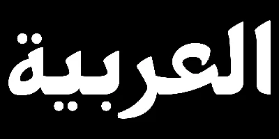 PF Nuyork Arabic Font