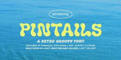 Pintails Font