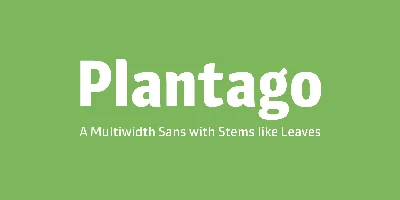 Plantago Font