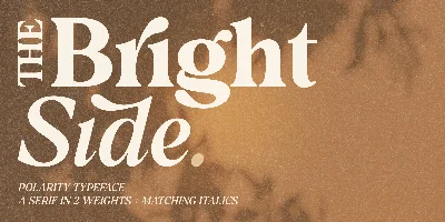 Polarity Font