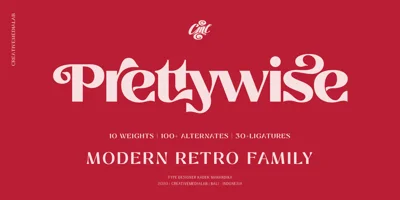 Prettywise Font