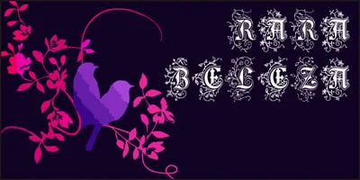 Rara Beleza Font