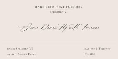 Rare Bird Specimen Collection
