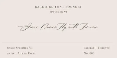 Rare Bird Specimen Collection Font