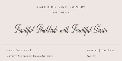 Rare Bird Specimen I Font