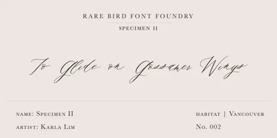 Rare Bird Specimen II Font