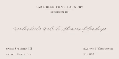 Rare Bird Specimen III Font