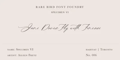Rare Bird Specimen VI Font