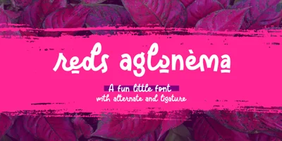 Reds Aglonema Font