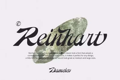 Reinhart Script Free Download
