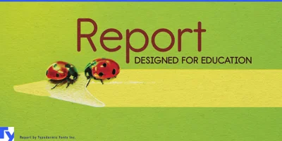 Report Font