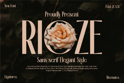 Rioze - Sans serif Elegant Font