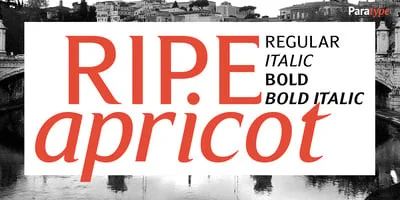 Ripe Apricot Font