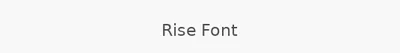 Rise Font