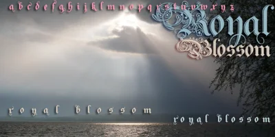 Royal Blossom Font