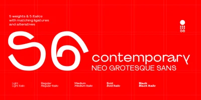 S6 Sans Font