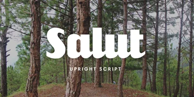 Salut Font