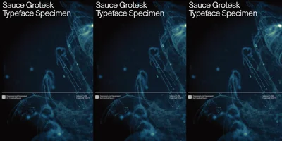 Sauce Grotesk Font
