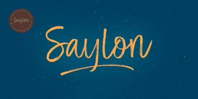 Saylon Brush Font