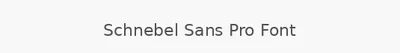 Schnebel Sans Pro Font