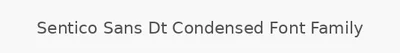 Sentico Sans Dt Condensed Font Family