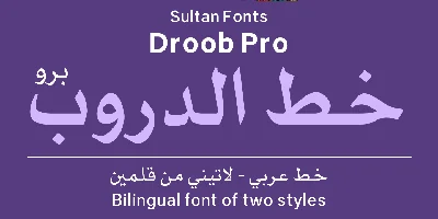 SF Droob Pro Font