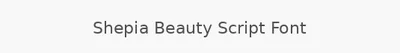 Shepia Beauty Script Font