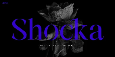 Shocka Family