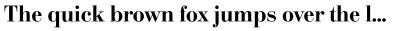 Shore Bodoni Font