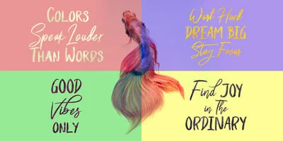 Shutten Reason Font