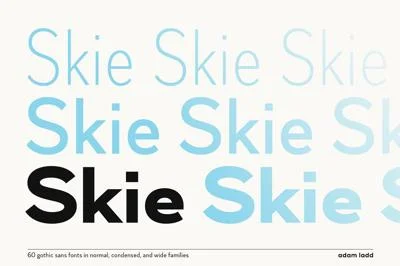 Skie Font Family - 60 Fonts