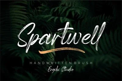 Spartwell |HANDWRITTEN BRUSH| Font