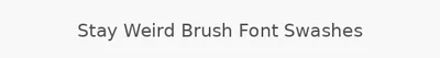Stay Weird Brush Font Swashes