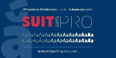 Suit Sans Pro Font